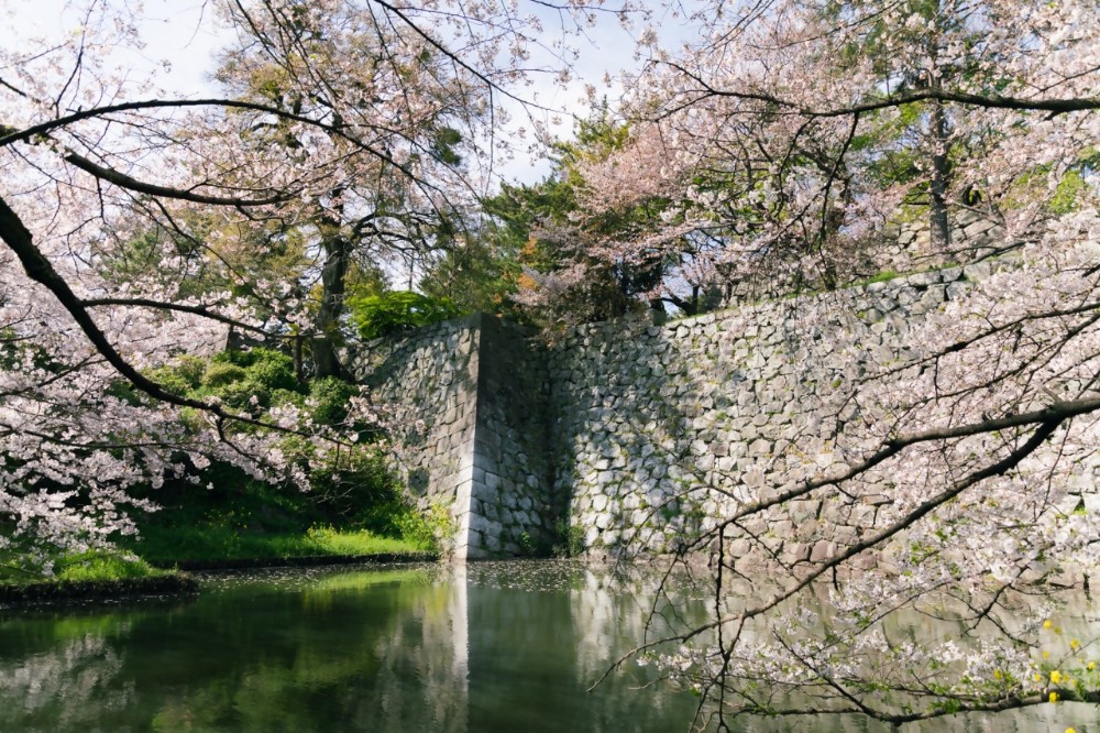 久留米城跡